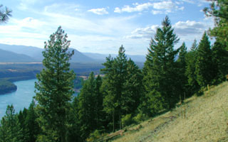 View of River Valley Below