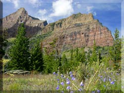 Glacier National Park Photo 4