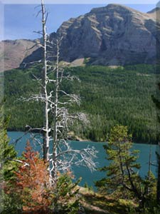 Glacier National Park Photo 8