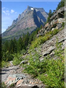 Glacier National Park Photo 11