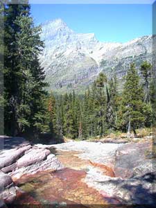 Glacier National Park Photo 13