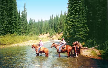 Horseback Riding in Northwest Montana