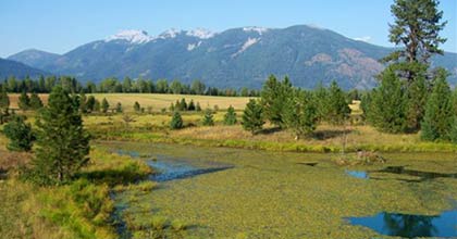 Montana stream side real estate