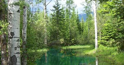 Montana lake front land