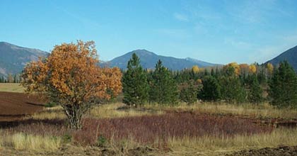 Montana land