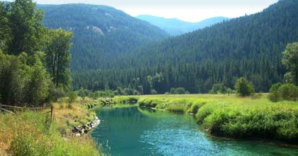 Noxon Montana Trout Stream